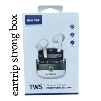 RECRSI RE S213 Earbuds
